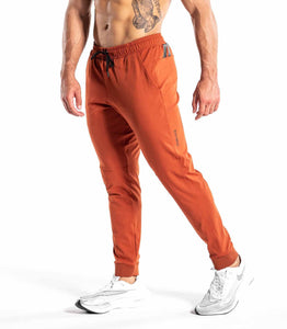 IconX 2 Joggers